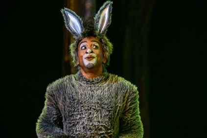 Shrek de Musical Fotografie Wim Lanser 13